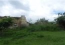 Në cilin manastir të Anamoravës ka simbole ilire