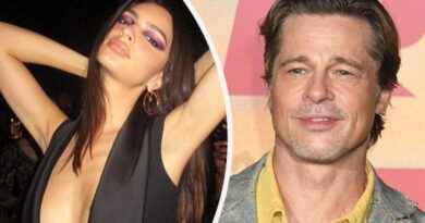 Brad Pitt thuhet se po flirton me modelen Emily Ratajkowski