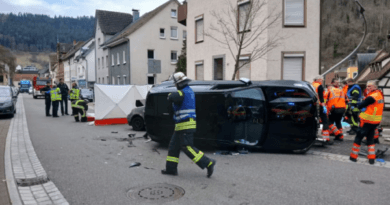 Gjermani, një 29-vjeçare nga Kosova dhe djali i saj trevjeçar humbin jetën në një aksident