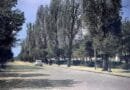 Gjilani njihej dikur si qytet i blinjve, sot s`e ka asnjë