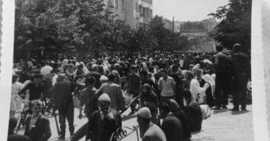 Panagjyri i Gjilanit bashkonte në kryeqendrën e Anamoravës shitës, blerës e kurreshtarë nga shumë vise të Kosovës