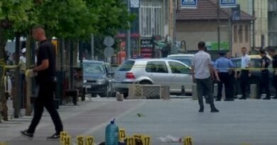 Plagosja e katërfishtë: Nipat donin vrasjen e dajës, shkak hakmarrja?