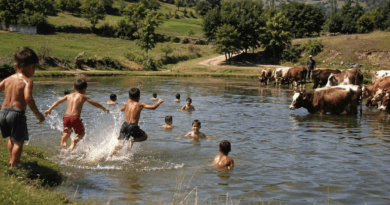 Kur vera jonë kishte vetëm një “gjiri” Kur vera jonë kishte vetëm një “gjiri”