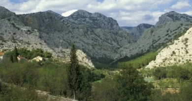 Aeroplani i nisur nga Çekia rrëzohet në Kroaci, humbin jetën dy personat në bord