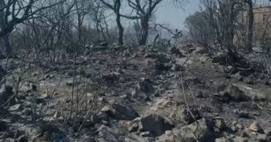 Himara pas natës së ferrit – banesa, tokë dhe ullinj të shkrumbuar