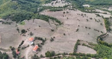 Martirizimi i Terziajve gjatë viteve 1846-1848