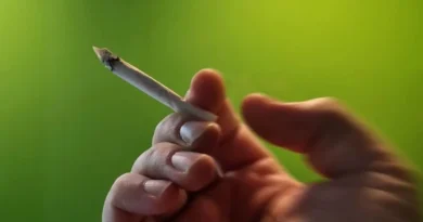 Cigaret në Gjermani mund të kushtojnë deri në 12 euro deri në vitin 2030 Cigaret në Gjermani mund të kushtojnë deri në 12 euro deri në vitin 2030