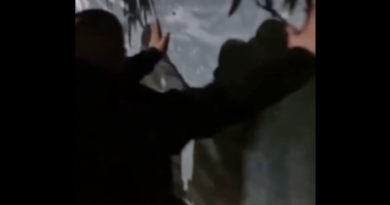 Publikohen pamjet/ Momenti kur arrestohet i dyshuari për vrasjen e Arlinda Zekaj Publikohen pamjet/ Momenti kur arrestohet i dyshuari për vrasjen e Arlinda Zekaj